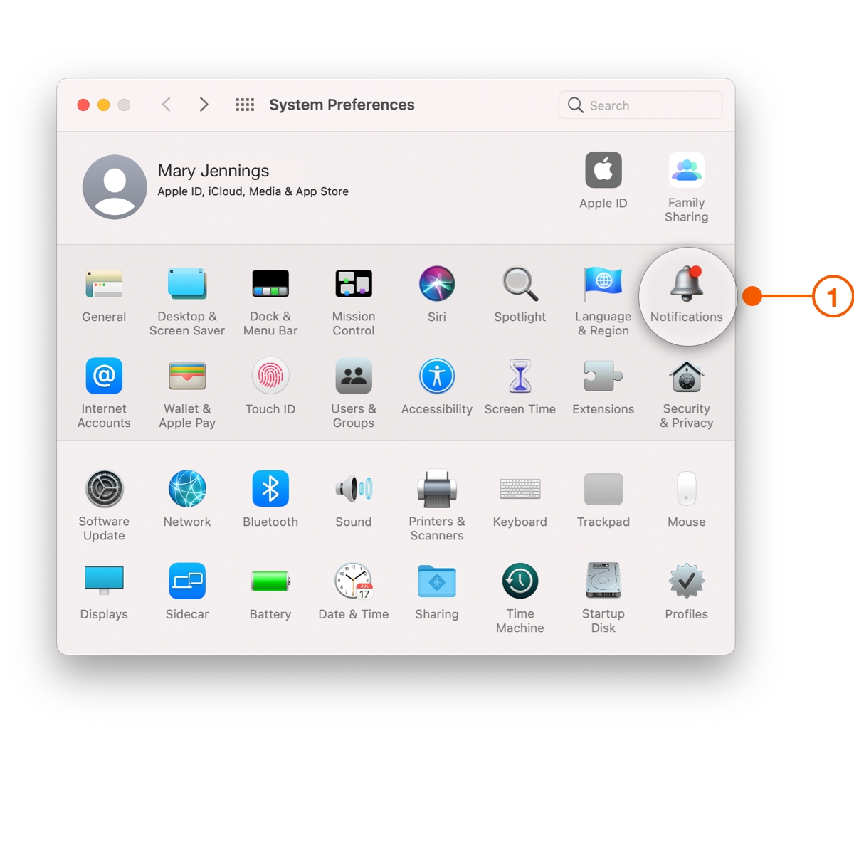 macOS System Preferences window selecting Notifications